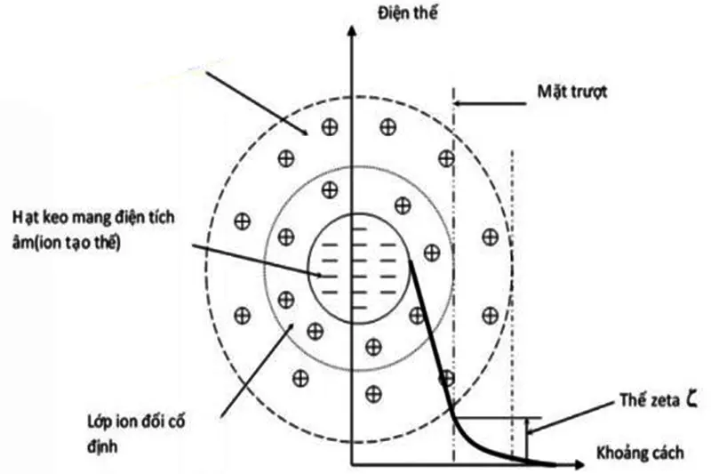 Cấu tạo của hệ keo trong nước