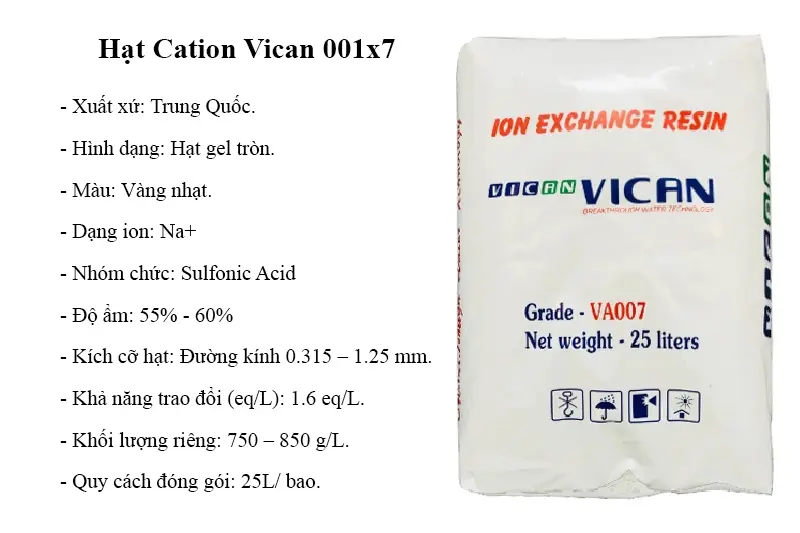 Hat-Cation-Vican-001x7