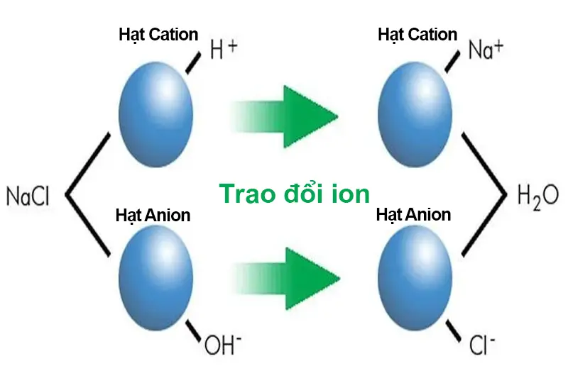 trao-doi-io-di